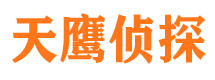 龙游侦探公司